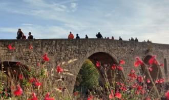 Camino Ignaciano